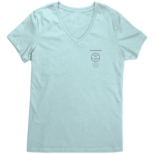 DISTRICT WOMENS V-NECK Front Chest and Back