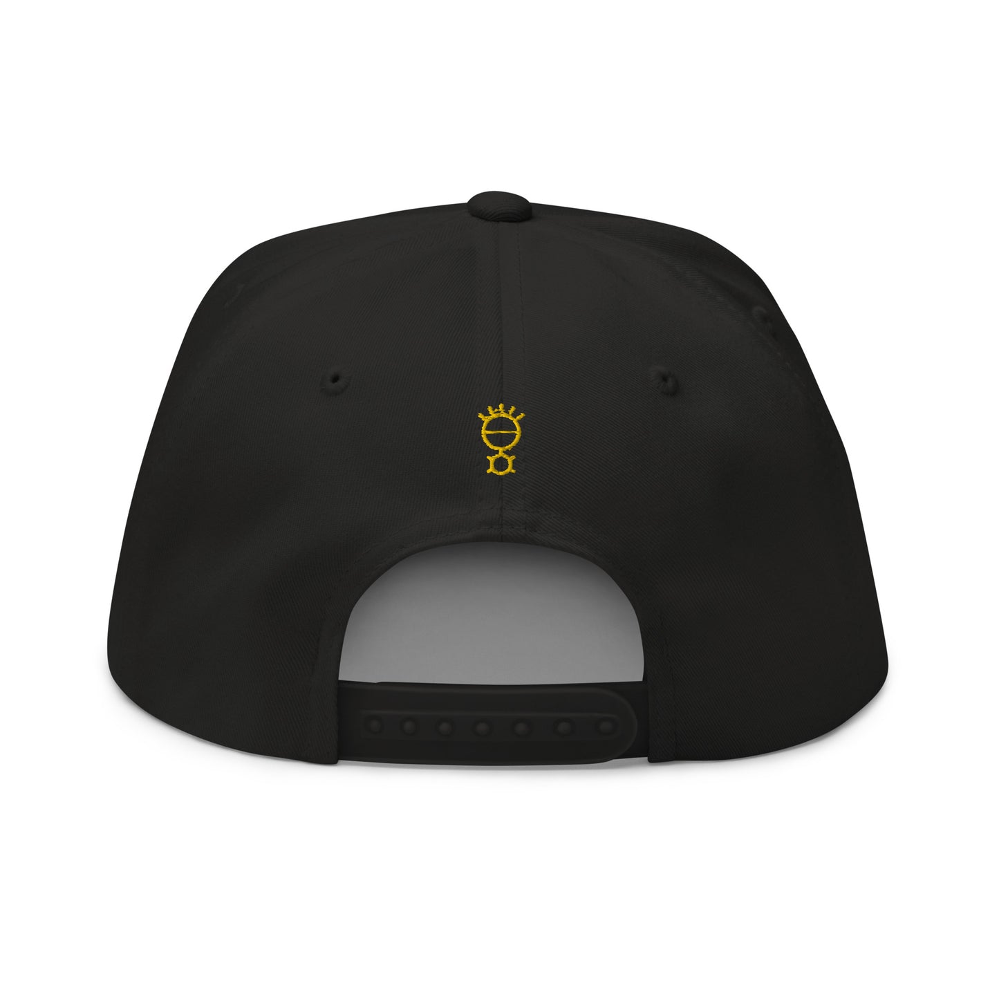 Flat Bill Cap The Mind & 5 Senses