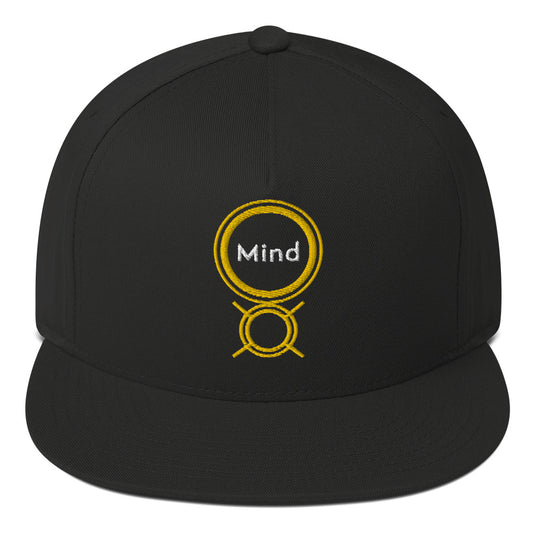 Flat Bill Cap The Secret Genie & The Mind