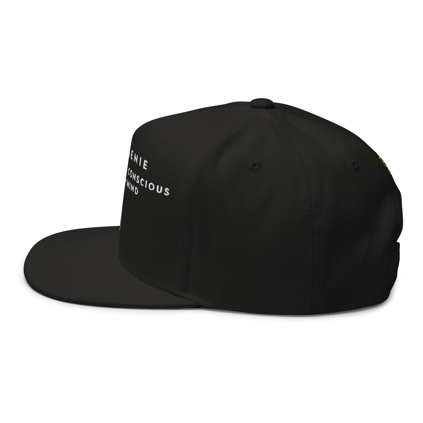 Flat Bill Cap The Mind Text