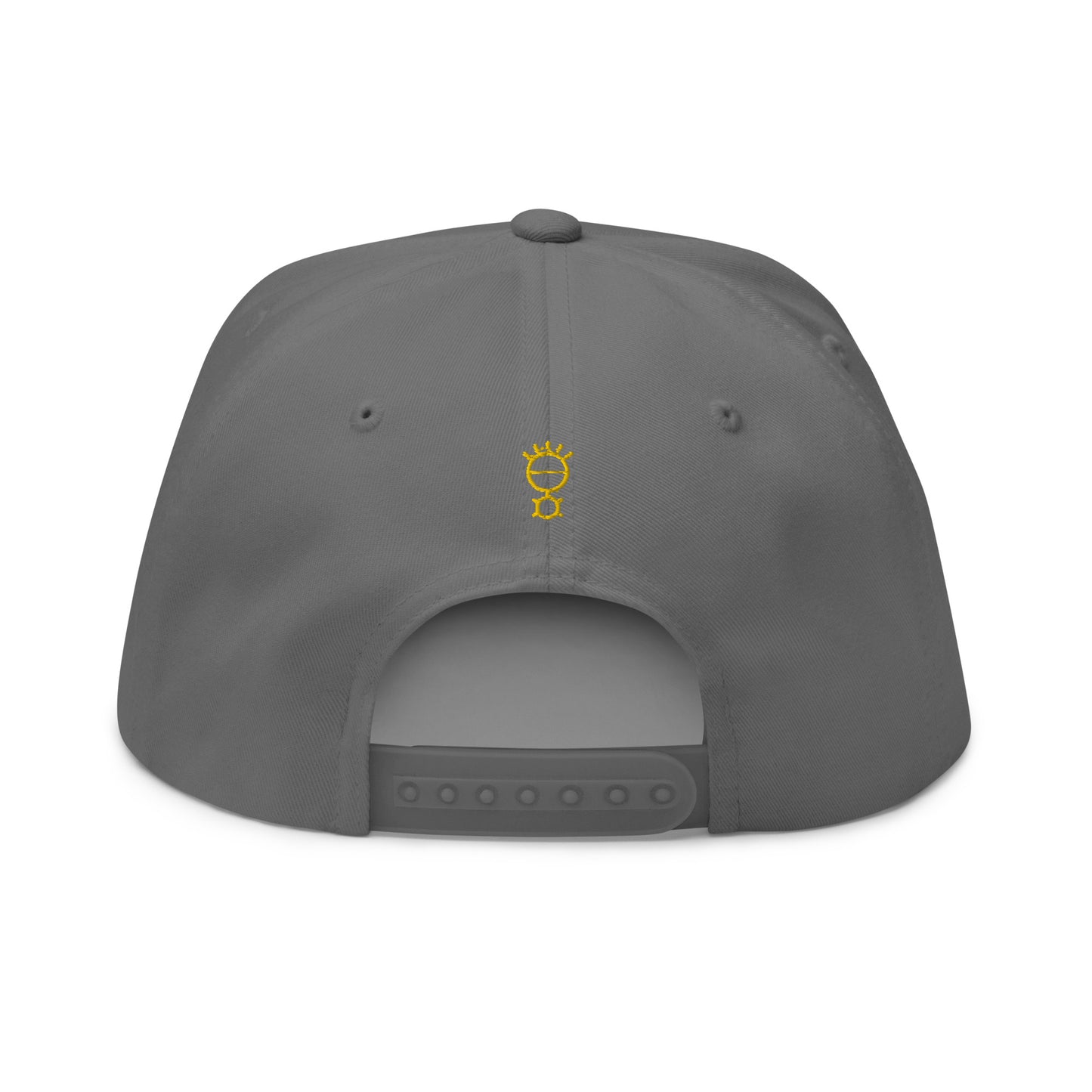 Flat Bill Cap The Mind & 5 Senses