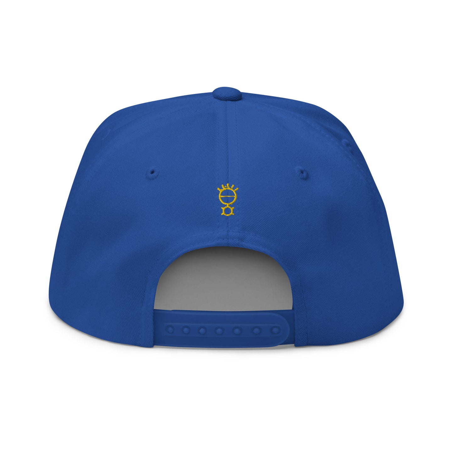 Flat Bill Cap The Mind & 5 Senses